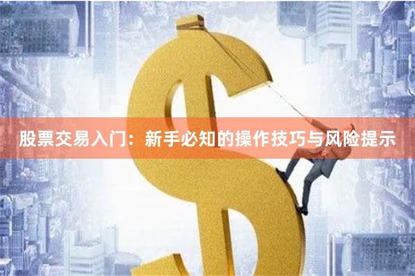 股票交易入门：新手必知的操作技巧与风险提示