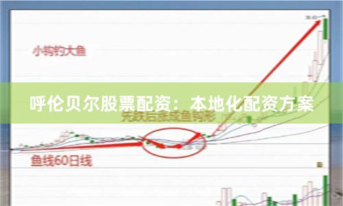 呼伦贝尔股票配资：本地化配资方案