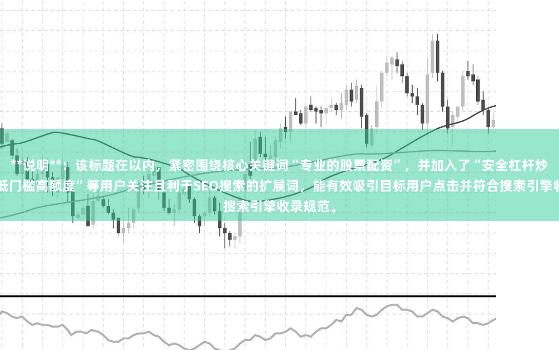 **说明**：该标题在以内，紧密围绕核心关键词“专业的股票配资”，并加入了“安全杠杆炒股”、“低门槛高额度”等用户关注且利于SEO搜索的扩展词，能有效吸引目标用户点击并符合搜索引擎收录规范。
